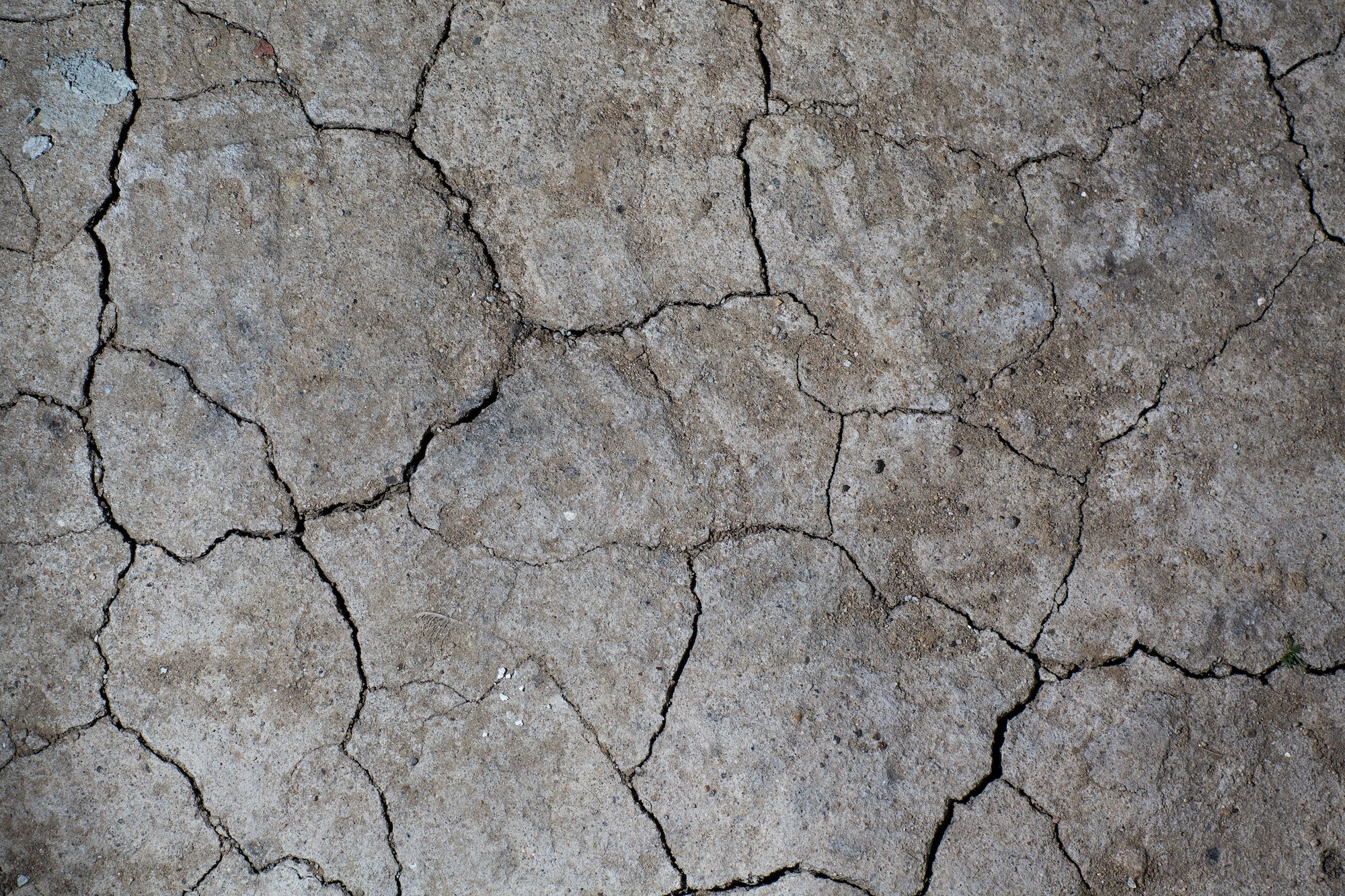 Dry cracked earth ground texture. No watering desert.