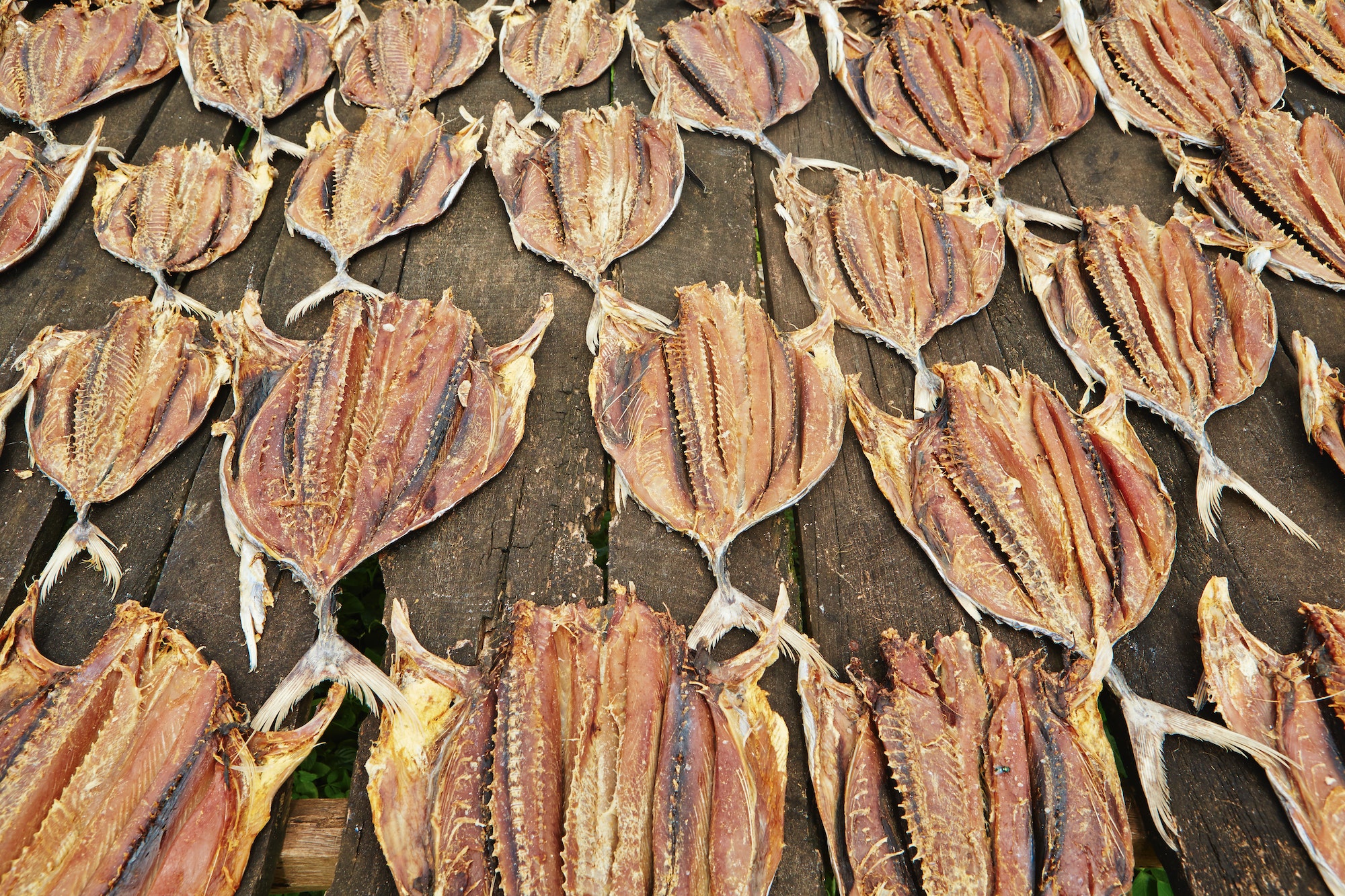 Dry fish